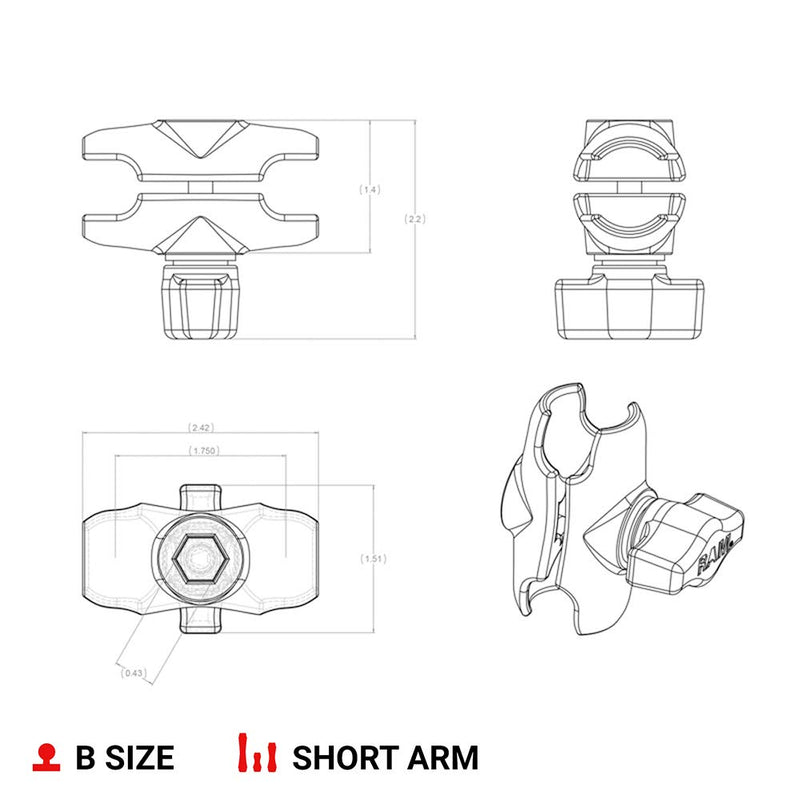RAM Mounts RAP-B-201U-A Composite Double Socket Arm - Short Arm Compatible with B Size 1" Ball Components - LeoForward Australia