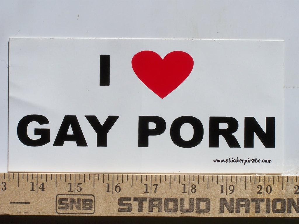  [AUSTRALIA] - Magnet I Love Gay Porn Magnetic Bumper Sticker Prank