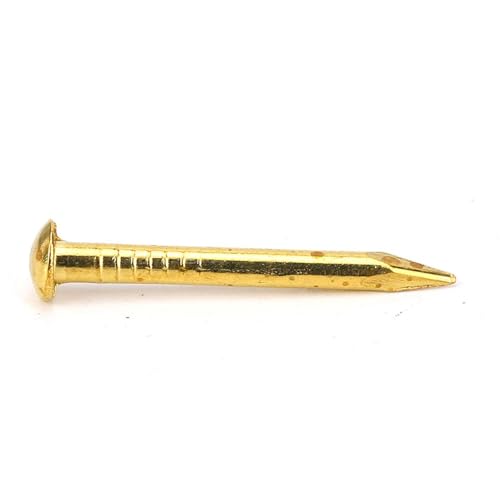 Gold Small Nails, 100PCS Hardware Nails Assortment Kit, Round Head Brass Nail, Tiny Finishing Nails Accessories for Household Wood Picture Hanging String Art (22mm Long Thickened) 22mm long thickened