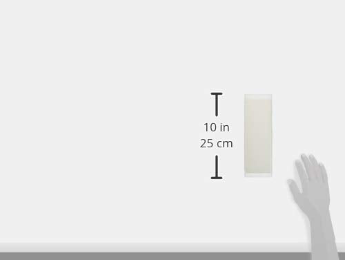 Naniwa NK-2091 Professional Whetstone Kagayaki #12000 Sharpener with Storage Case 8.3 x 2.8 x 0.4 inches (210 x 70 x 10 mm) 210×70×10mm