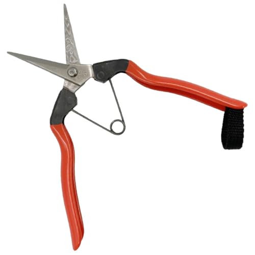 Koshiji stainless extirpation Hanabasami K-9 (japan import)