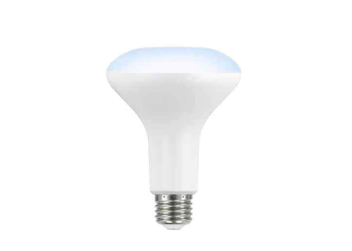 EcoSmart 65-Watt Equivalent BR30 Dimmable LED Flood Light Bulb Daylight (6-Pack) A20BR3065WESD56