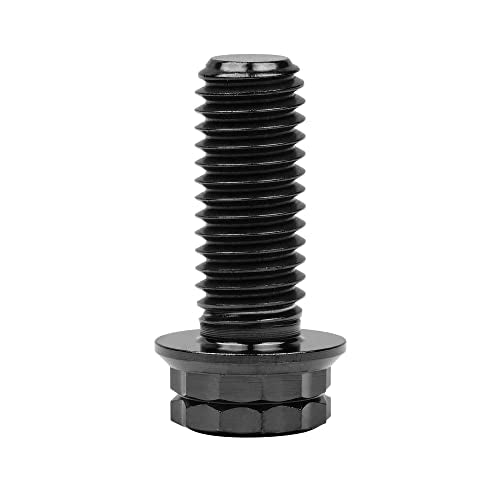 Titanium M8 Flange Bolt 12 Point Head Screw (M8x20mm, Black) M8x20mm