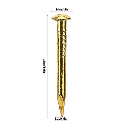 Brass Nails Golden, 100Pcs Round Head Nail Brass Furniture Big Head 20mm Accessories 10mm/15mm/18mm/22mm15mm Length den Nail Flat Round Hinge Hardware (22mm long, bold)