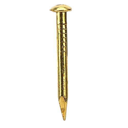 Brass Nails Golden, 100Pcs Round Head Nail Brass Furniture Big Head 20mm Accessories 10mm/15mm/18mm/22mm15mm Length den Nail Flat Round Hinge Hardware (22mm long, bold)