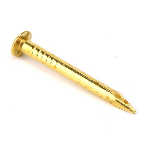 Gold Small Nails, 100PCS Hardware Nails Assortment Kit, Round Head Brass Nail, Tiny Finishing Nails Accessories for Household Wood Picture Hanging String Art (22mm Long Thickened) 22mm long thickened