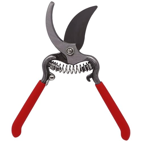 Classic Forged Steel Pro, 8-Inch 10