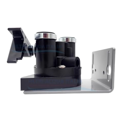 Everpure Ql3B Head Assembly 1 Count (Pack of 1)
