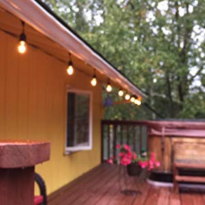 Rolay S14 Clear String Light Bulbs, 2W Plastic LED Replacement Bulbs for Outdoor Patio String Lights with E26 Base, Pack of 25 Led-clear