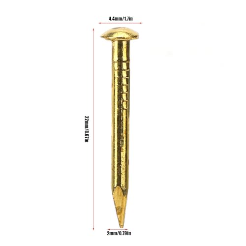 Gold Small Nails, 100PCS Hardware Nails Assortment Kit, Round Head Brass Nail, Tiny Finishing Nails Accessories for Household Wood Picture Hanging String Art (22mm Long Thickened) 22mm long thickened