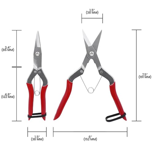 Zenport H972 Pomelo Harvest Shear, 2-Inch Carbon Steel Blades, Red 1