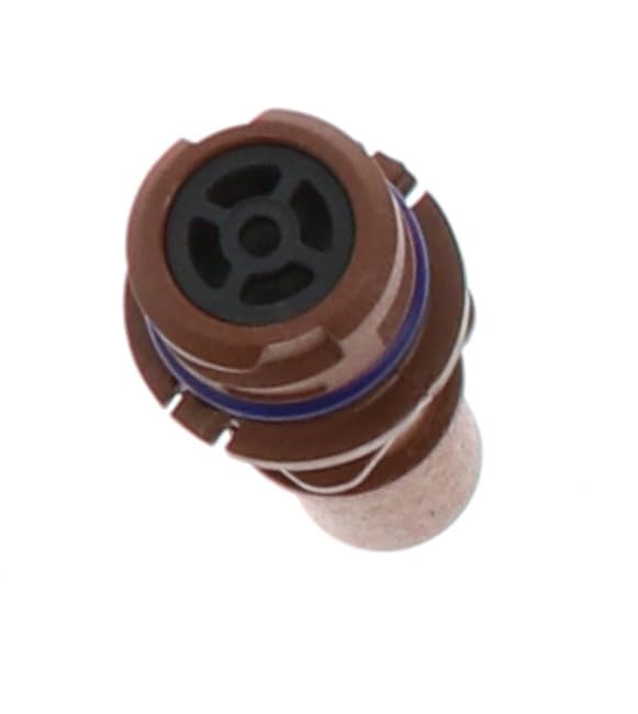 Motorcraft EV281 Valve Assembly