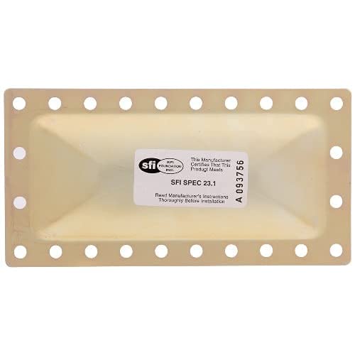 Allstar Performance ALL26310 Replacement Burst Panel