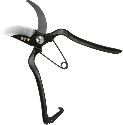 Japanese Pruning Shears, 7.9" (200mm) Hand-Forged Carbon Steel Bypass Hand Pruners – Razor-Sharp Garden Clippers for Roses, Flowers, Bonsai & Branches, Made in Japan - Forest Originals