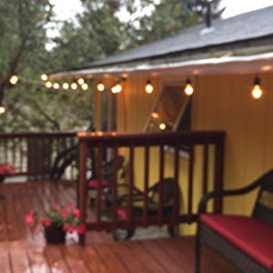 Rolay S14 Clear String Light Bulbs, 2W Plastic LED Replacement Bulbs for Outdoor Patio String Lights with E26 Base, Pack of 25 Led-clear