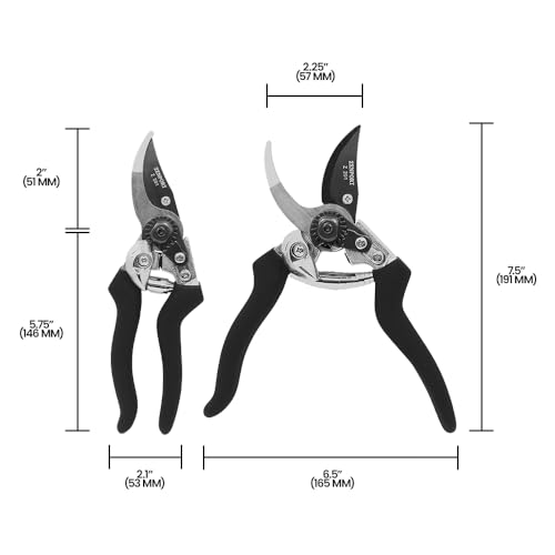 Zenport Z201 Heavy Duty Pruner, Bypass Euro, Black Handles, Steel, 8-Inch 1
