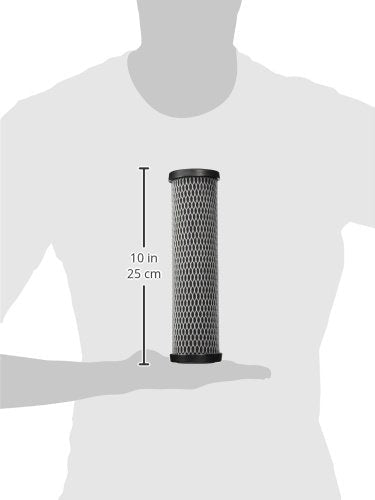 American Plumber W5CIP Taste/Odor Filter Cartridge (2-pack)