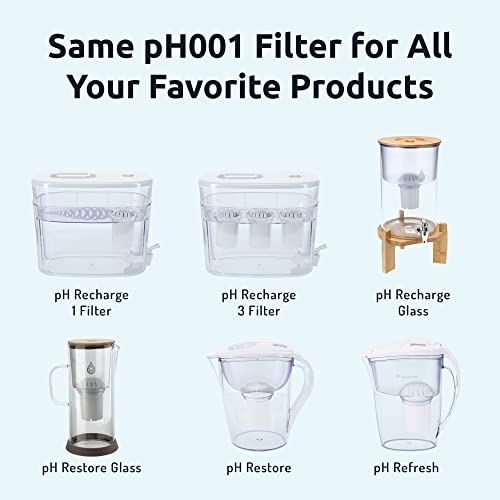 Invigorated Water PH001 Black Alkaline Water Filter Replacement