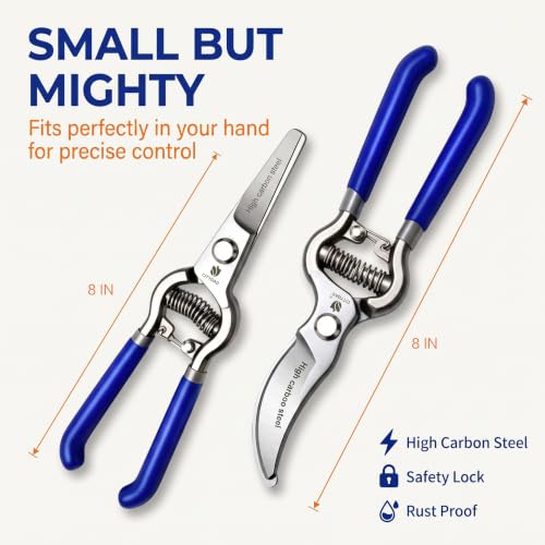 Two-Pack Pruning Shears Set (8-Inch), High-Carbon Steel Blades, Ergonomic Blue Handles, Rust-Resistant Garden Tools for DIY Garden & Landscaping