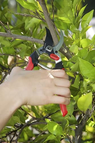 Corona BP 4314D Dual Link Bypass Pruner With Comfort Gel Grips, 3/4 Inch,Red