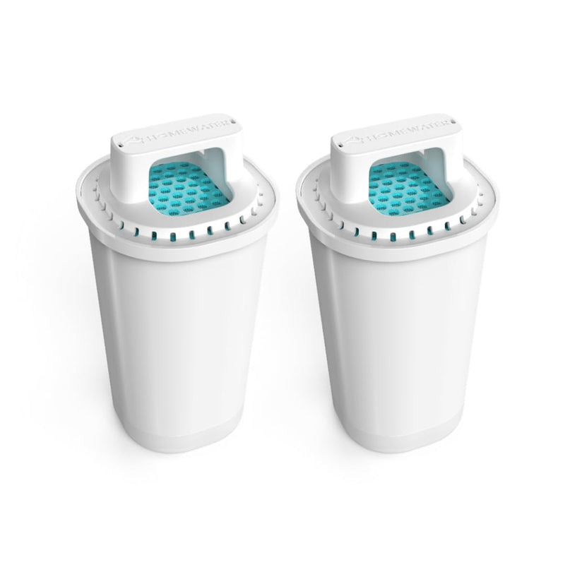 HOMEWATER Pitcher Replacement Water Filter Cartridge, White, BPA-Free ABS Material, 2-Pack, 10-Cup Pitcher Compatible (FG-RF-PITCHER-2PK) FG-RF-PITCHER-2PK