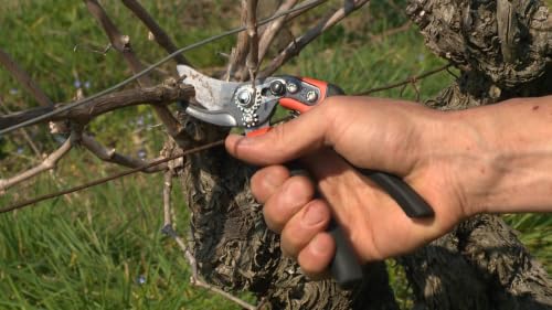 Bahco BAHPXR-M2 ERGO Medium Bypass Pruning Shears, 8" Length, 3/4" Cut Cap