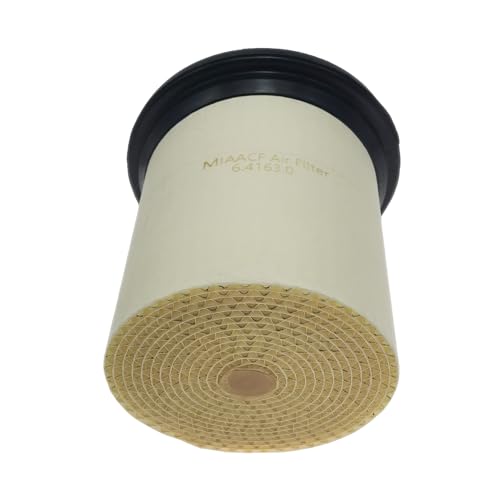 6.4163.0 MIAACF Air Filter Compatible for AS/ASK/M Model Air Compressor Air filter