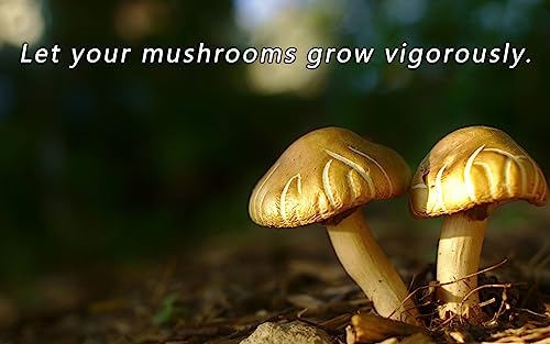 Mushroom Growing Supplies 0.25 μm - 64Pcs 20mm & 18Pcs 84mm Filter Filter Disc Mushroom,Membrane Filter Sticker, Mycology Supplies,Applied Under Wide Mouth Jar Lid for Mushroom Cultivation 20mm-64pcs&84mm-18pcs