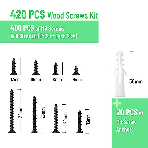 Mr. Pen- Wood Screws Assortment Kit, 400 pcs, 20 M6 Screw Anchor