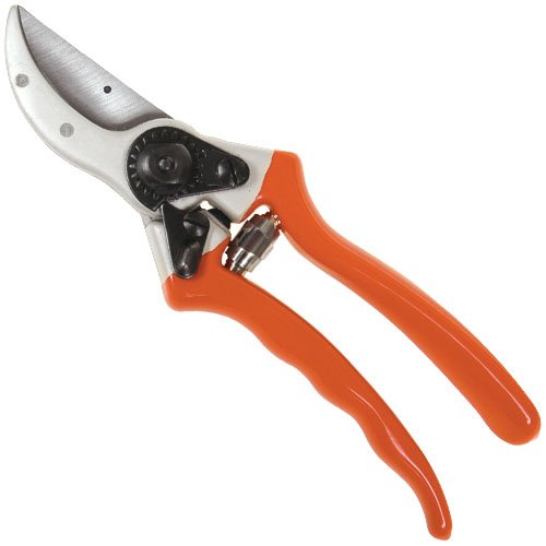 A.M. Leonard Traditional Bypass Pruners - 1 Inch Cut Capacity