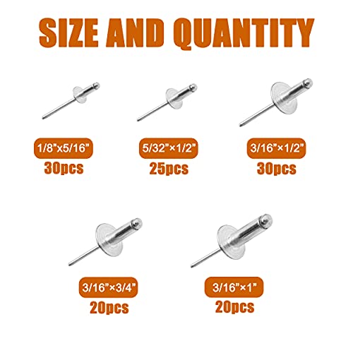  [AUSTRALIA] - ISPINNER 125pcs Large Flange Aluminum Blind Rivets, Pop Rivets Assortment Kit (Silver) Silver