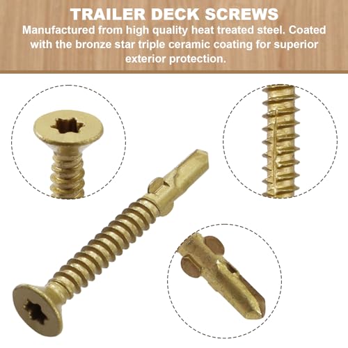 #10 x 1-5/8" Reamer Tek Torx/Star Head Self-Drilling Wood to Metal Screws #10x1-5/8"