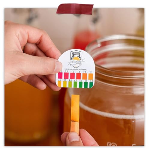Fermentaholics Kombucha & Fermentation pH Test Strips – Instant Read pH Strips Dispenser for Brewing & Fermentation, pH Range 0–6 (pH Roll Dispenser) pH Test Roll