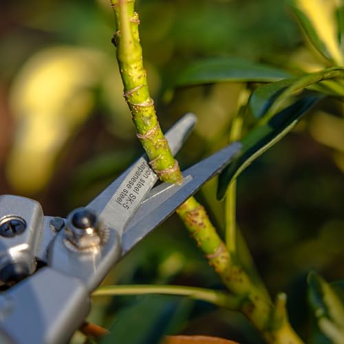 Radius Garden 7-Inch Aluminum Fine Pruner with Ergonomic Grip