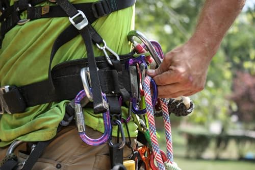 Omega Pacific Deputy Tool Carrier - Professional Grade Aluminum 4.57-Inch Arborist Equipment with 1.02-Inch Gate Opening, Lightweight 3.8oz Design for Harnesses and Saddles Ultra-Violet