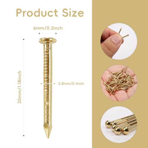 100PCS Small Tiny Brass Nails 0.1"×1.18" Round Head Tacks Wood Decorative 2.8×30mm 100pcs