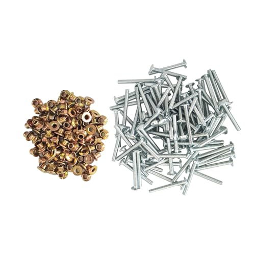100PCS Stainless Steel 3/16" Rivet Kit fit for Peterbilt 379 Huck and Collar, Replaces MGP98T-R6-10G, MGCS-R6U-100 Medium Duty Flange Collar