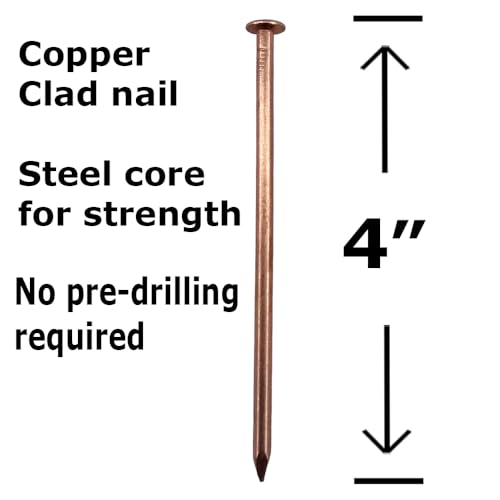 (25) 4"- Copper Clad nail spikes for killing trees & stumps - No predrilling required – Prevents regrowth by releasing copper ions - Eco Friendly - Qty 25