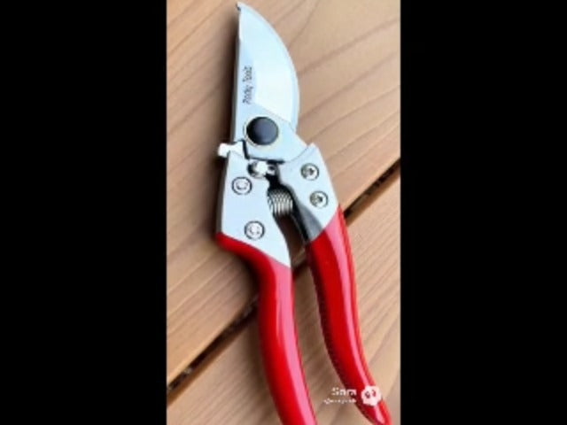 8" Professional SK5 Bypass Pruning Shears – Ultra Sharp Premium Garden Scissors, Ergonomic Non-Slip Handle, Heavy Duty Clippers for Roses, Flowers, Plants & Small Branches.