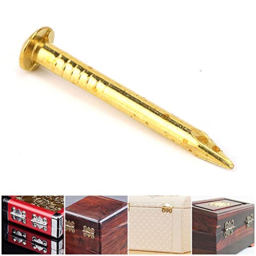 Brass Nails Golden, 100Pcs Round Head Nail Brass Furniture Big Head 20mm Accessories 10mm/15mm/18mm/22mm15mm Length den Nail Flat Round Hinge Hardware (22mm long, bold)