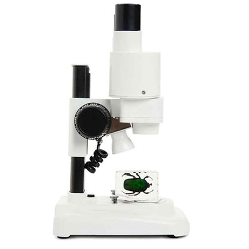 Celestron – Celestron Labs – Binocular Stereo Microscope – 20x Magnification – Upper LED Illumination – Includes 2 Specimens S20 - Stereo Microscope