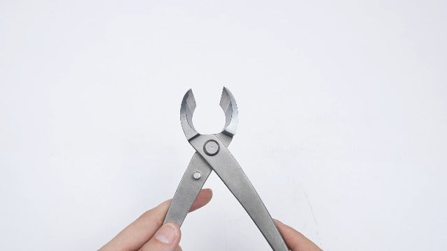 Concave Branch Cutter 8 Inch Carbon Steel Bonsai Shears