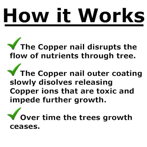  [AUSTRALIA] - Pack of (50) 4” Copper Nails with Steel cores for Killing Trees & Stumps – No Drill Needed, Won’t Bend, Eco-Friendly Chemical Free 50