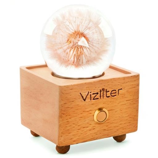 Vizliter Bluetooth Speaker Crystal Ball 65mm LED Lighting Premium Preserved Natural Flower with Wood Base Never Withered Eternal Night Light Audio Portable (Dandelion) Dandelion