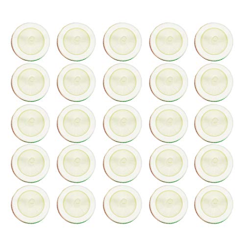 100Pcs OD=25MM,0.22um,Glass Fiber Syringe Filter,Made from GF,100 Pieces/Lot