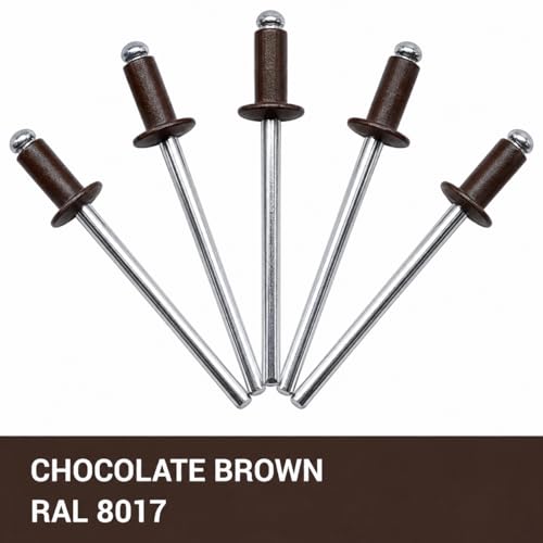 (Pack of 100) Painted Blind Rivets 5/32" x 5/16" (4.0 x 8 mm), Dome Head, DIN 7337, Aluminium Rivets and Steel Mandrel, Pop Rivets, Drill Bit Included, Chocolate Brown RAL 8017 Chocolate Brown (Ral 8017)