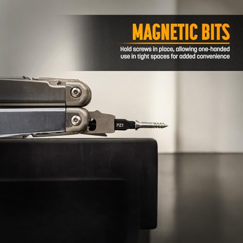 Galvanox Double Sided Bit Set Designed for Leatherman Multi-Tools, Flat-Bit Screwdriver Set with Holder (21 Pc Set + 4 Bonus Bits)
