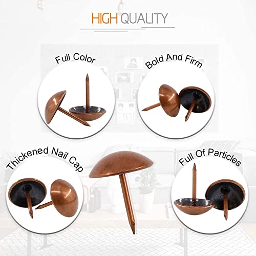 ZAYI 5/8”x13/16” Antique Red Copper Upholstery Tacks, Furniture Nails Thumb Tacks Pins Assortment Kit for DIY Wood Furniture Décor 100PCS (5/8inch, Red Copper)