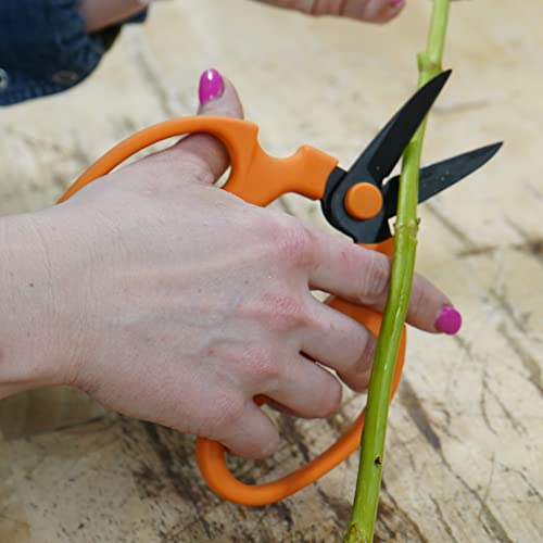 Flower Scissors With Black Carbon Steel Blades 7.0 Inch, Ornithogalum (Orange) 7.0 Inch Orange