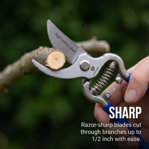 Two-Pack Pruning Shears Set (8-Inch), High-Carbon Steel Blades, Ergonomic Blue Handles, Rust-Resistant Garden Tools for DIY Garden & Landscaping